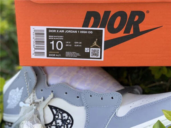 Nike Jordan 1 Retro High Dior - Image 6