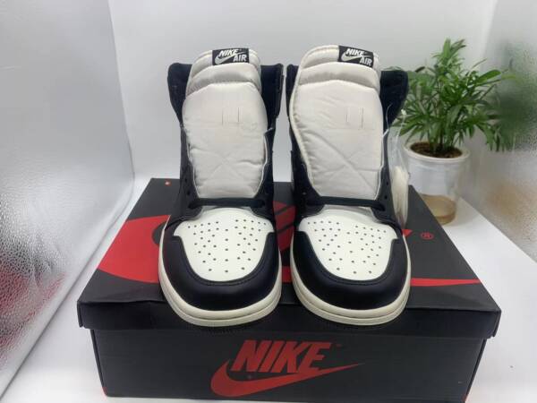Air Jordan 1 barb brown - Image 4