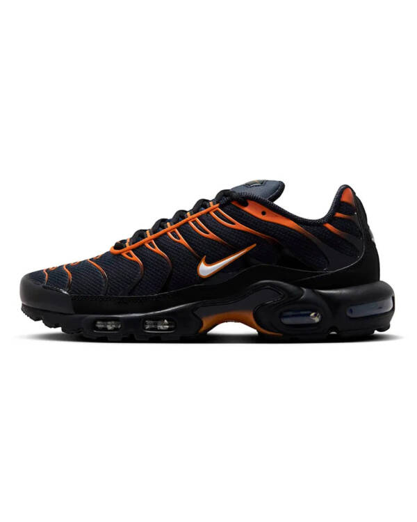 Air Max Plus TN 1 "Dark Obsidian/Monarch"